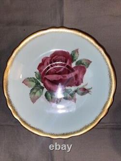 Rare Paragon Cabbage Rose R. Johnson Signed Tea Cup& Saucer, Bone China England