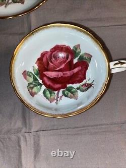 Rare Paragon Cabbage Rose R. Johnson Signed Tea Cup& Saucer, Bone China England