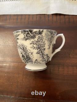 Rare Royal Patrician Bone China Black & White Toile Tea Set, Made in England