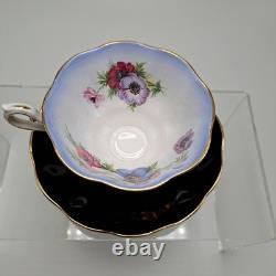 Royal Albert Cup & Saucer Set Milady Series Floral Black & Gold Accents
