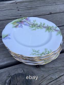 Royal Albert Greenwood Tree Bone China Dinner Set Cups Plates Bowls England