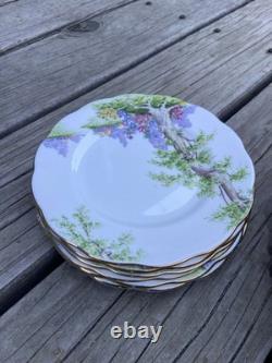 Royal Albert Greenwood Tree Bone China Dinner Set Cups Plates Bowls England