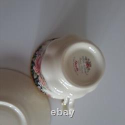 Royal Albert Operetta Teacup Saucer Set Bone China England