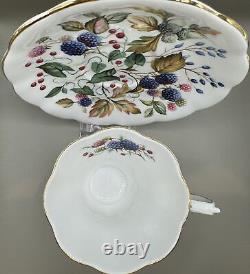 Royal Albert Random Harvest Sussex Bone China Teacup and Saucer Set