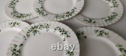 Royal Albert Shamrock Fine Bone China Salad Plates Set Of 6 England