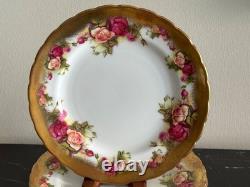 Royal Chelsea Golden Rose Fine Bone China 8 Salad Plates Set of 13