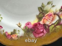Royal Chelsea Golden Rose Fine Bone China 8 Salad Plates Set of 13