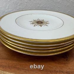 Royal Crown Derby Gold Encrusted Bone China Plates Set of 15 Mixed Sizes England