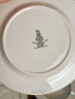 Royal Doulton Cadence TC1007 Bone China 92pc Set for 12 Unused Perfect England