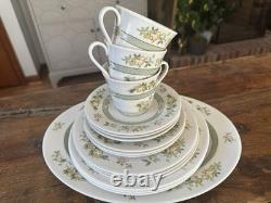 Royal Doulton Tonkin TC1107 13 Pc China Set England Cups Plates Platter VTG