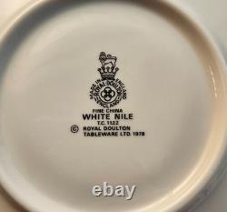 Royal Doulton White Nile Fine China Tableware Set 38 PCS VTG Made In England 70s
