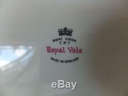 Royal Vale Bone China Made in England Dinnerware set