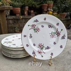 Royal Victoria Fine Bone China Purple Violet Pattern Set Of 10 Plates Gold Trim