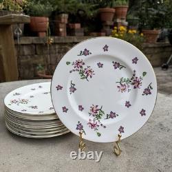 Royal Victoria Fine Bone China Purple Violet Pattern Set Of 10 Plates Gold Trim