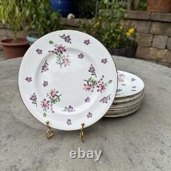 Royal Victoria Fine Bone China Purple Violet Pattern Set Of 10 Plates Gold Trim