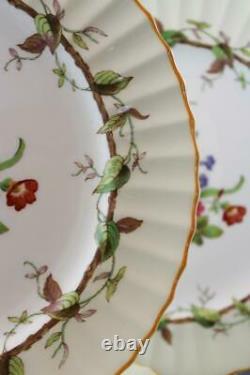 Royal Worcester England Florence Porcelain Bone China Set of 8 Dinner Plates