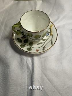 Royal Worcester The Blind Earl Cup & Saucer Set Fine Bone China England