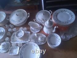 Royal albert collection