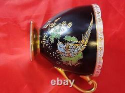 SHELLEY EXOTIC BIRD Black CUP & SAUCER Ripon Shape Hand Decorated Enamel & Gold