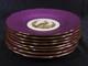 Set 8 Tiffany & Co NY Spode Copelands China England Gold Pheasant Purple Border