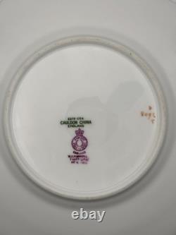 Set Of 6 Cauldon China England Hand Painted Green Gold Floral Plates 9