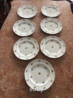 Set Of 7 The FOLEY CHINA ENGLAND FLORAL Plates