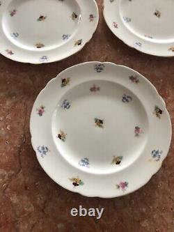 Set Of 7 The FOLEY CHINA ENGLAND FLORAL Plates