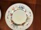 Set Of 8 CROWN STAFFORDSHIRE china FLOWER GARDEN pattern Dinner Plates 10 3/4
