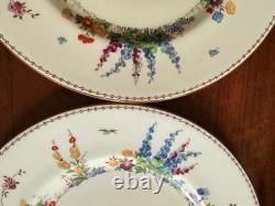 Set Of 8 CROWN STAFFORDSHIRE china FLOWER GARDEN pattern Dinner Plates 10 3/4