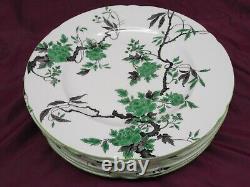 Set of 8 Rare SHELLEY, England OVINGTON 133216 Bone China Dinner plates 10 7/8