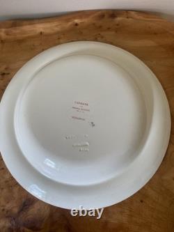 Set of 9 Ferrara Wedgwood Bone China England