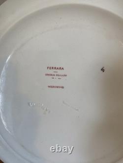 Set of 9 Ferrara Wedgwood Bone China England