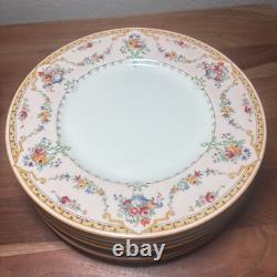 Set of 9 Rare Antique Royal Doulton V. 360 Dinner Plates 10.5 Pink Floral Urn