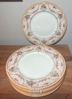Set of 9 Rare Antique Royal Doulton V. 360 Dinner Plates 10.5 Pink Floral Urn