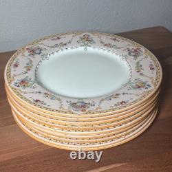 Set of 9 Rare Antique Royal Doulton V. 360 Dinner Plates 10.5 Pink Floral Urn