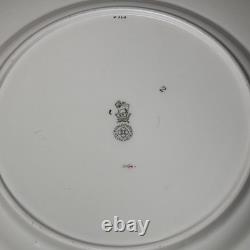 Set of 9 Rare Antique Royal Doulton V. 360 Dinner Plates 10.5 Pink Floral Urn
