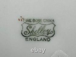 Shelley 10 1/2 English Countryside Scene Plates(Set of 6) Bone China England