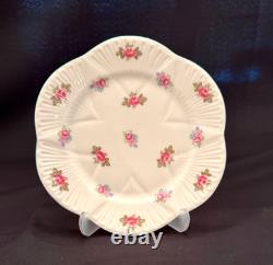 Shelley Bone China Dainty Rosebud Dessert Set for 6 (41 Pieces)
