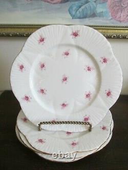 Shelley Bone China England Dainty Pink Roses Set Of 4 Salad Plate 8