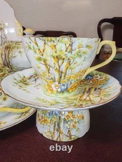 Shelley Daffodil Time Teacup & Saucer Teapot Fine Bone China England #13370 Set