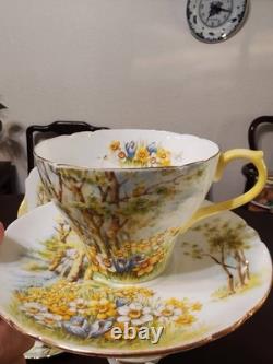 Shelley Daffodil Time Teacup & Saucer Teapot Fine Bone China England #13370 Set