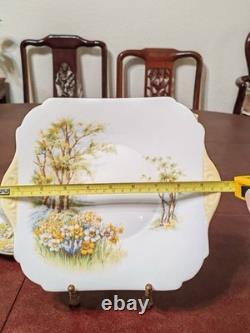 Shelley Daffodil Time Teacup & Saucer Teapot Fine Bone China England #13370 Set