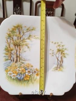 Shelley Daffodil Time Teacup & Saucer Teapot Fine Bone China England #13370 Set