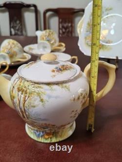 Shelley Daffodil Time Teacup & Saucer Teapot Fine Bone China England #13370 Set