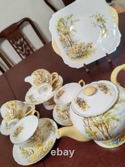 Shelley Daffodil Time Teacup & Saucer Teapot Fine Bone China England #13370 Set