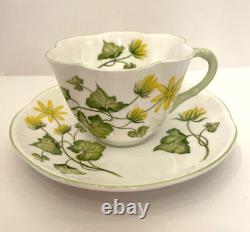 Shelley Fine Bone China Celandine Tea Cup Saucer Set Made In England #14055