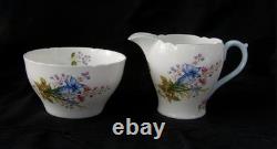 Shelley Fine Bone China Wildflowers Tea Set, England