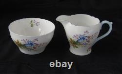 Shelley Fine Bone China Wildflowers Tea Set, England