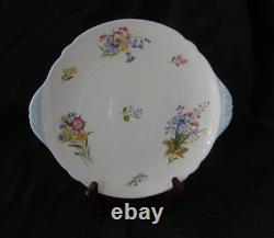 Shelley Fine Bone China Wildflowers Tea Set, England