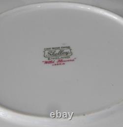 Shelley Fine Bone China Wildflowers Tea Set, England